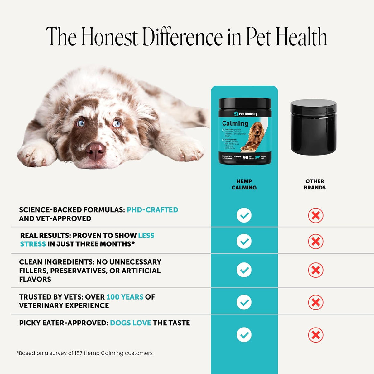 Premium imported USA pet care calming treats container from Pet Honesty