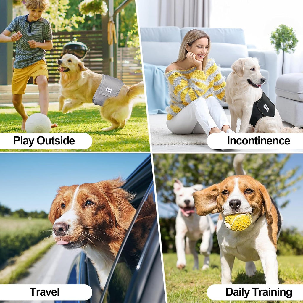 Three distinct color patterns of Vuncessin reusable male pet wraps laid out for size comparison