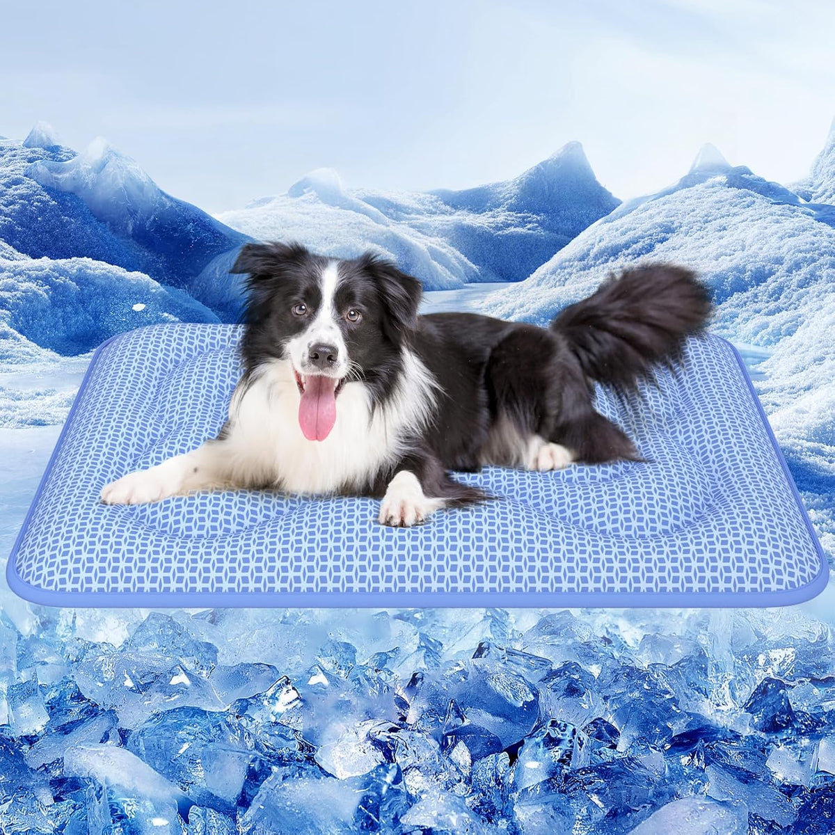 Rywell Reversible Dog Cooling Mat 44 By 32 Inch Front View