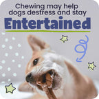 Pawstruck three pack natural beef chew rings helping remove plaque and tartar