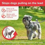 Small puppy wearing a black Beaphar Gentle Leader head collar during a walk