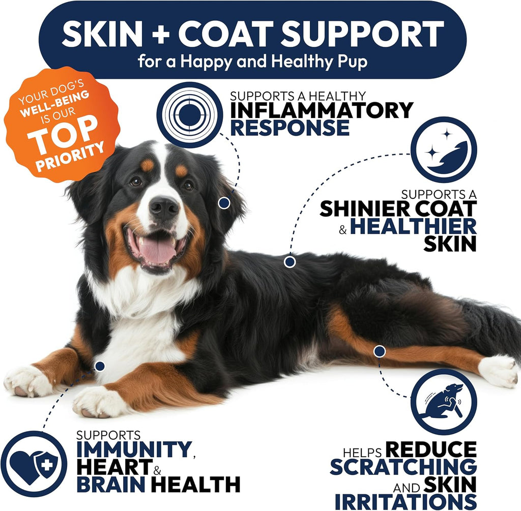 Petsology advanced joint health dog supplement chicken flavored chews close up texture.