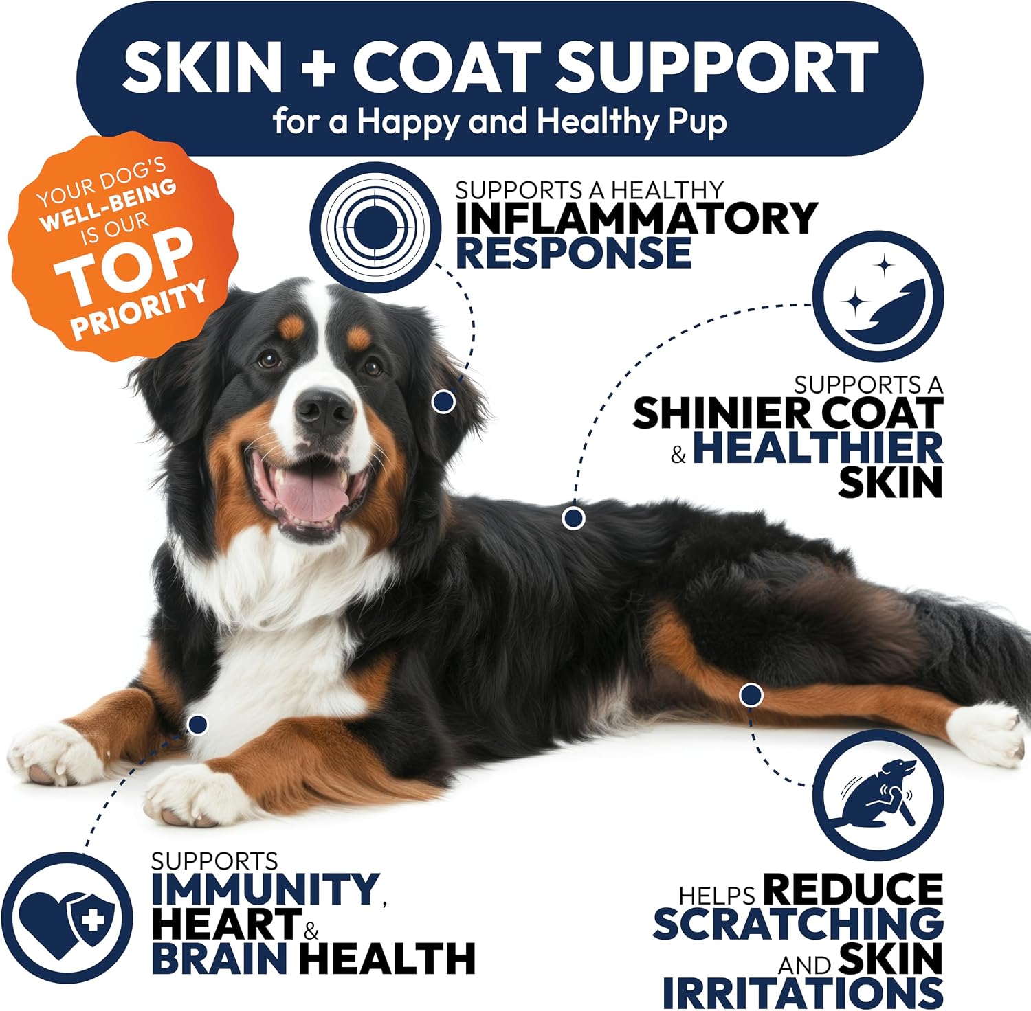 Petsology advanced joint health dog supplement chicken flavored chews close up texture.