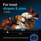 Charging port view of DogRook training collar