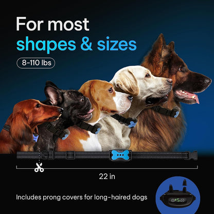 Charging port view of DogRook training collar