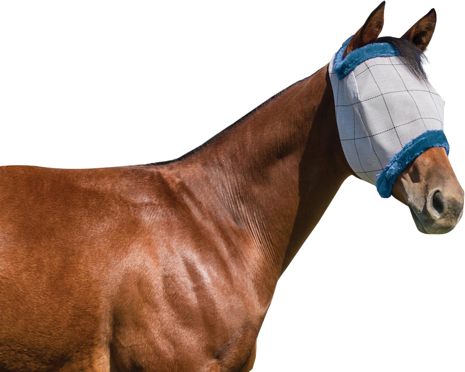 Farnam SuperMask II Horse Fly Mask Without Ears, Extended Coverage, Protects Eyes from Insects and Debris, Adjustable Throat Latch, XL Size - Image 13
