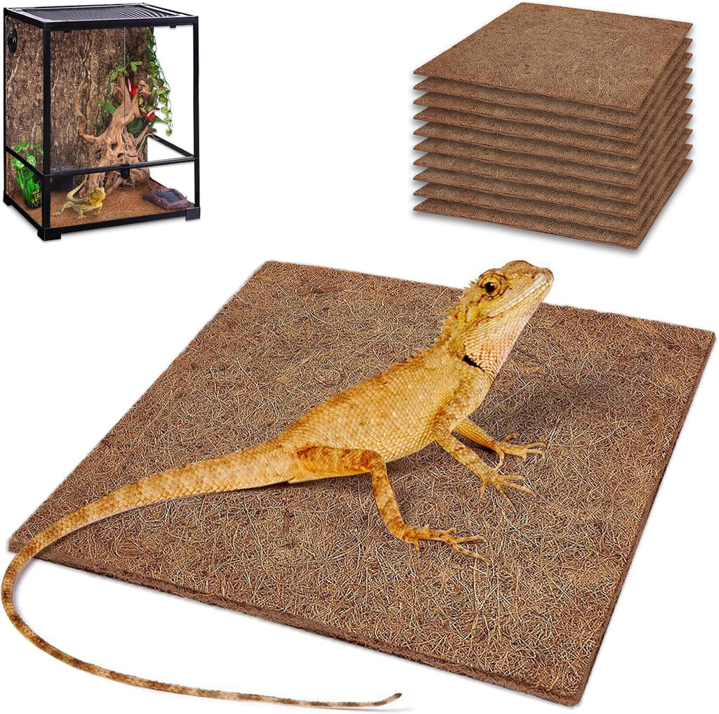 ZeeDix reptile carpet front view showing coconut fiber texture