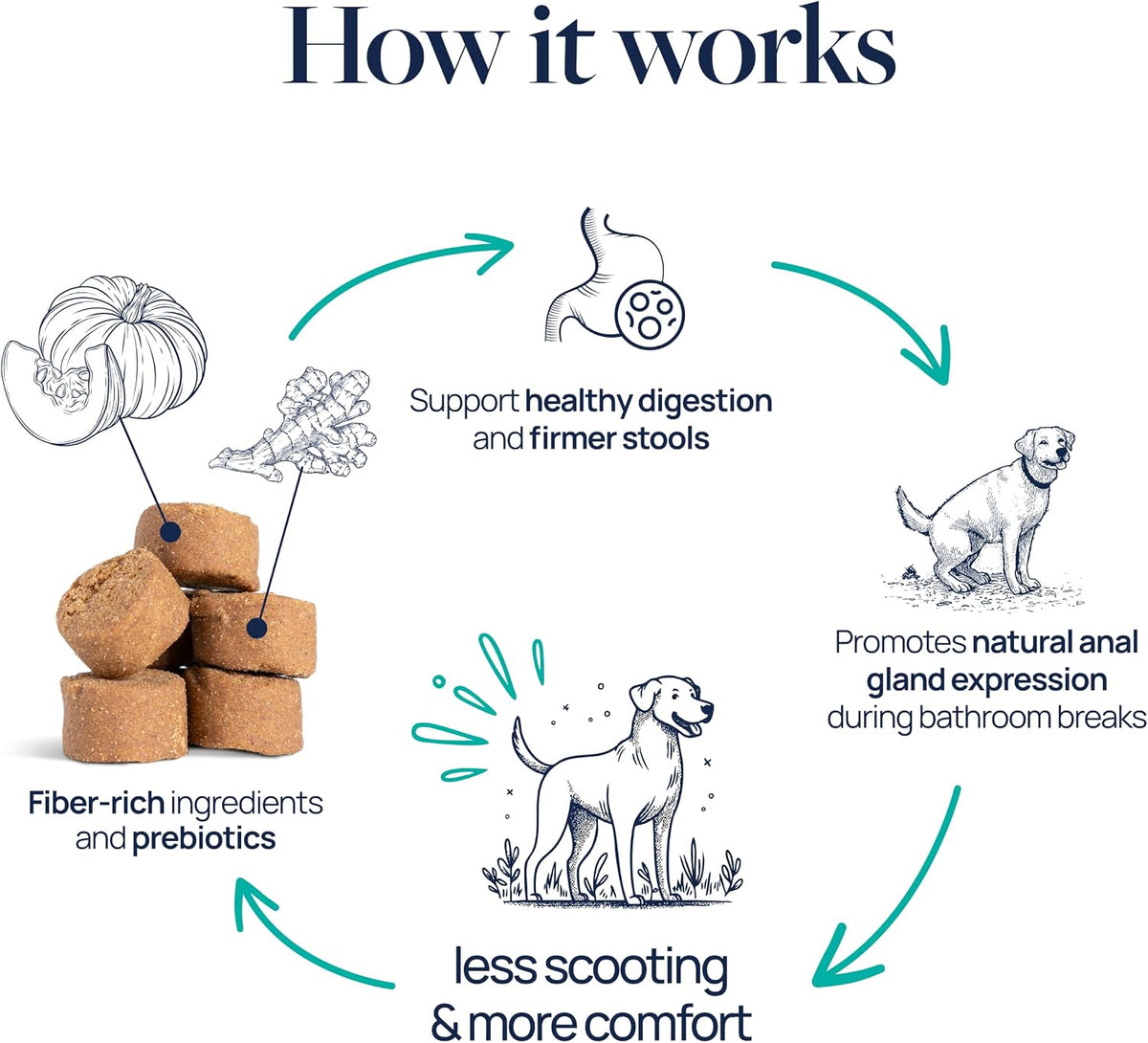 Veterinary Formula anal gland support chews key ingredients graphic