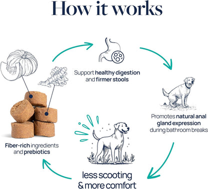 Veterinary Formula anal gland support chews key ingredients graphic