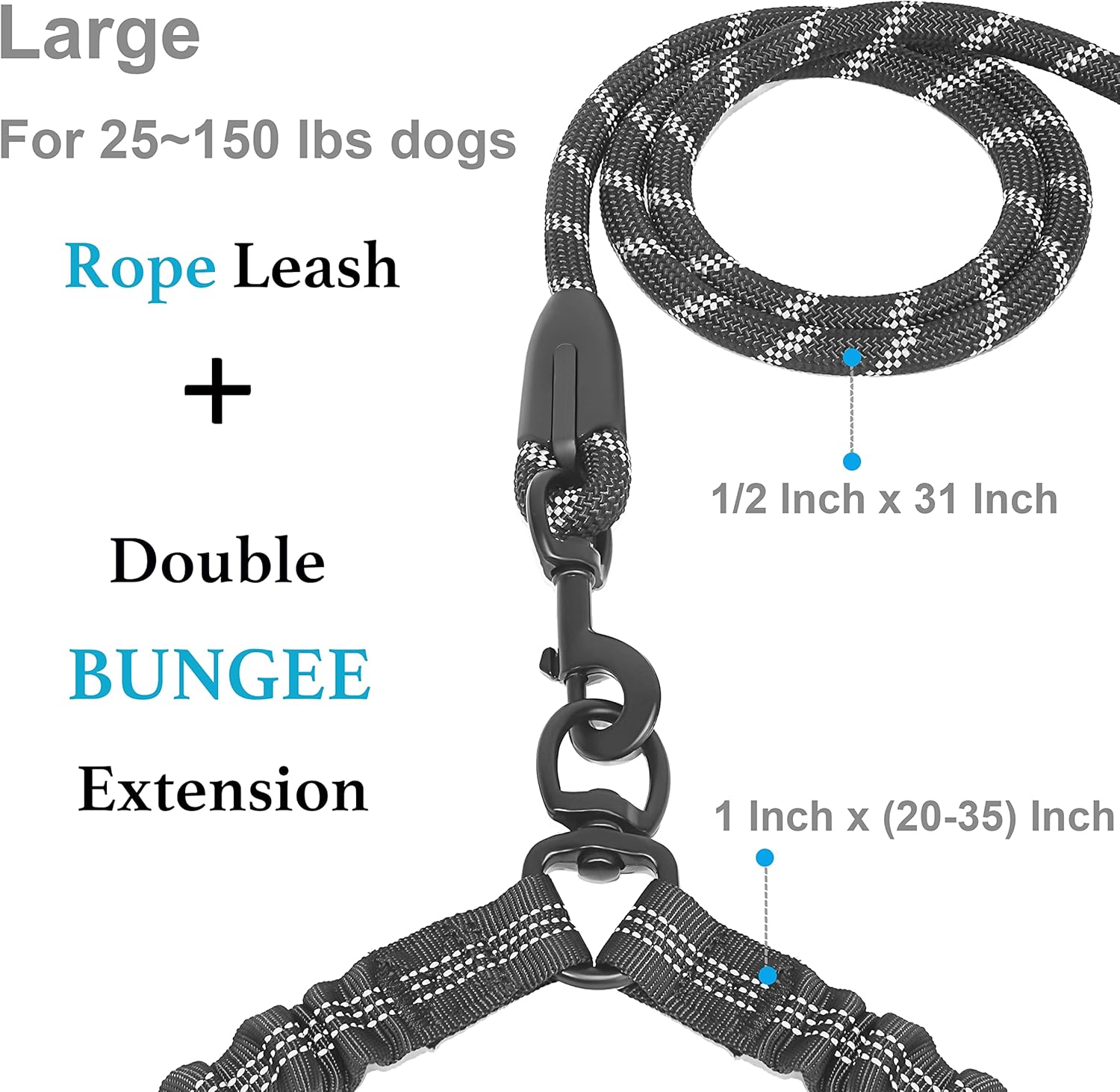 Close up view of the iYoShop double dog walking leash highlighting the stainless steel 360 degree swivel clasp.