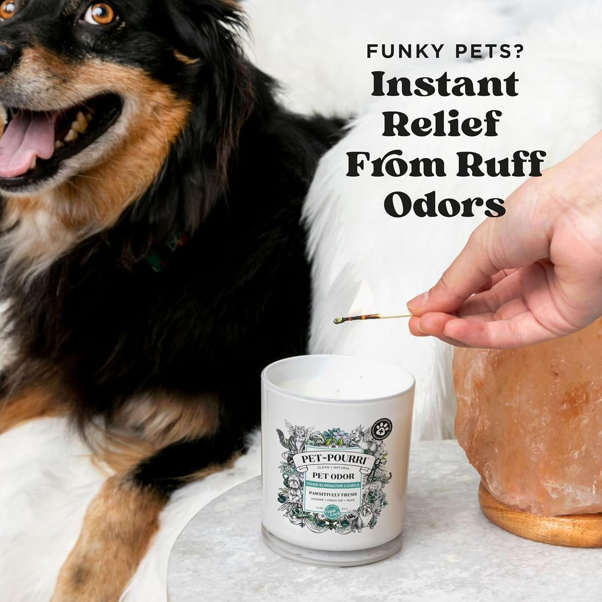 Pet-Pourri Pawsitively Fresh candle label detail and scent description