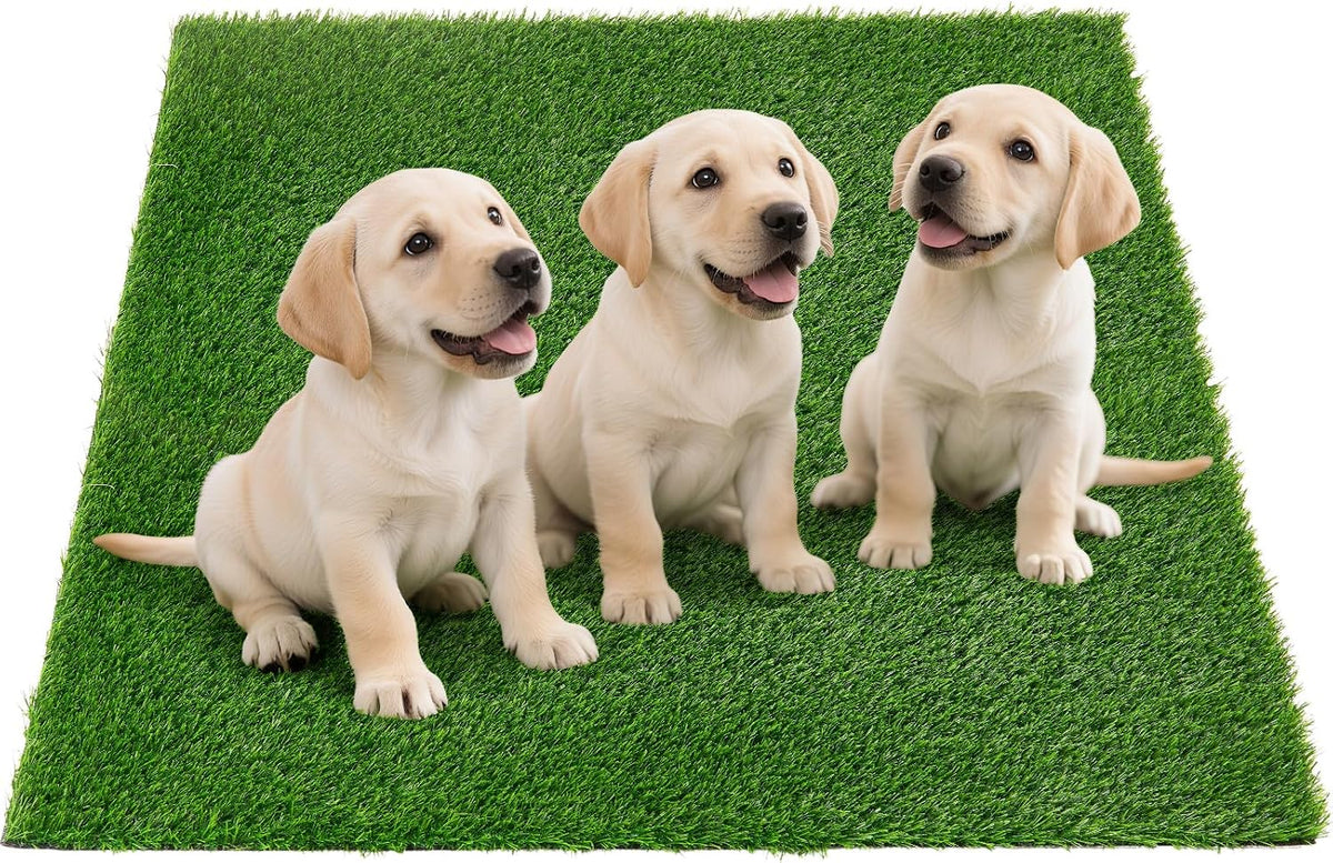 Artificial Pee Grass Pad for Dogs, Fake Grass Replacement Pads for Dog Potty Tray Training Pet Turf, Indoor and Outdoor Mat- 2 Packs (14" x 18") - Image 13