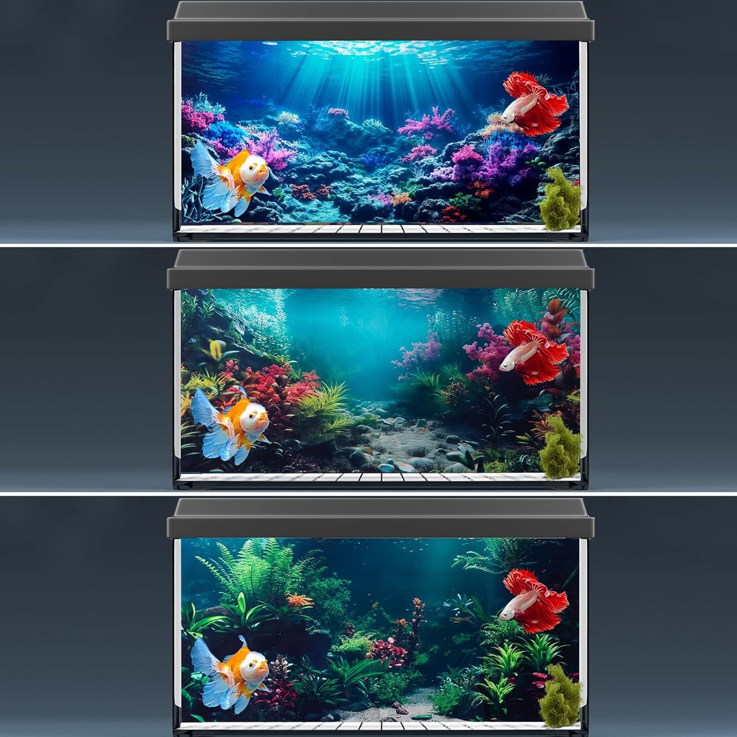 COMSUN ocean themed fish tank decoration sheet being applied easily to the back of a terrarium.