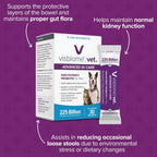 Visbiome Vet 225 billion CFU probiotic packets side display