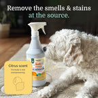 Professional Hepper enzymatic cleaning solution bottle