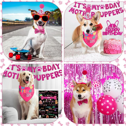 Full contents of the Adoggygo birthday party kit