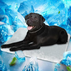 Mora Pets Dog Cooling Mat Instant Self Cooling Pad for Dogs & Cats Breathable Washable Summer Pet Cool Mat Indoor Outdoor, Puppy Cold Blanket for Floor Crate Car Travel Use Medium 36'' x 27'' Blue - Image 15