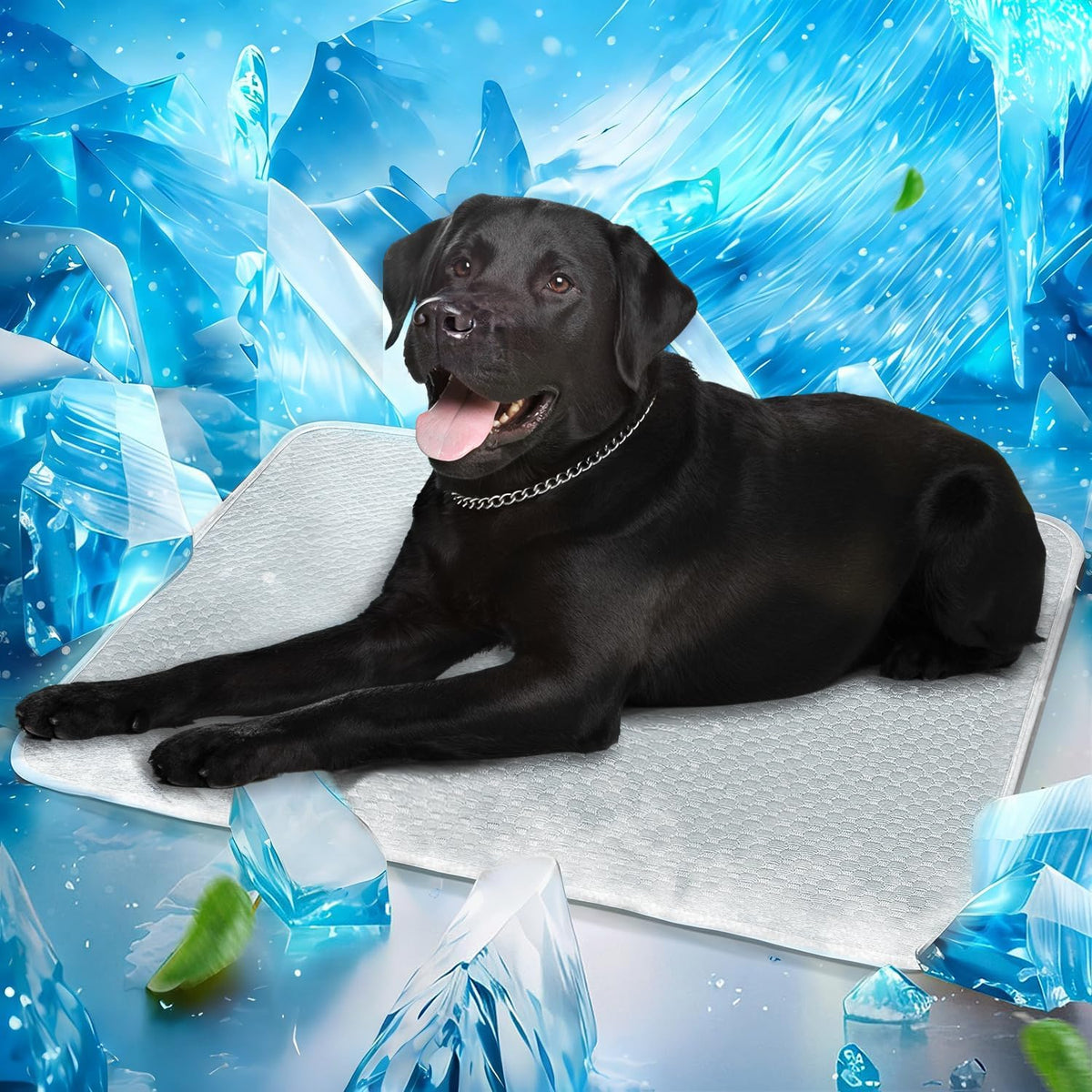 Mora Pets Dog Cooling Mat Instant Self Cooling Pad for Dogs & Cats Breathable Washable Summer Pet Cool Mat Indoor Outdoor, Puppy Cold Blanket for Floor Crate Car Travel Use Medium 36'' x 27'' Blue - Image 15