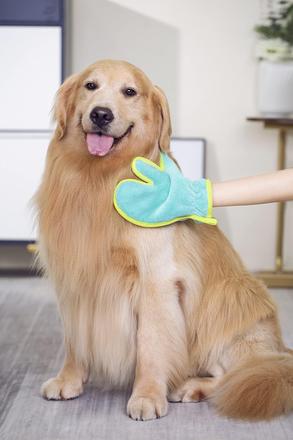 Demonstration of Pawyee microfiber drying gloves on dog paws