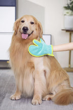 Demonstration of Pawyee microfiber drying gloves on dog paws