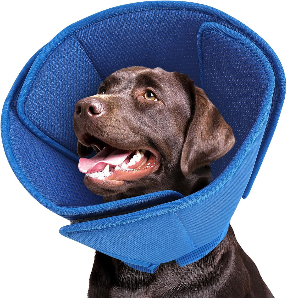 Queenmore soft dog cone for large dogs front view blue recovery collar