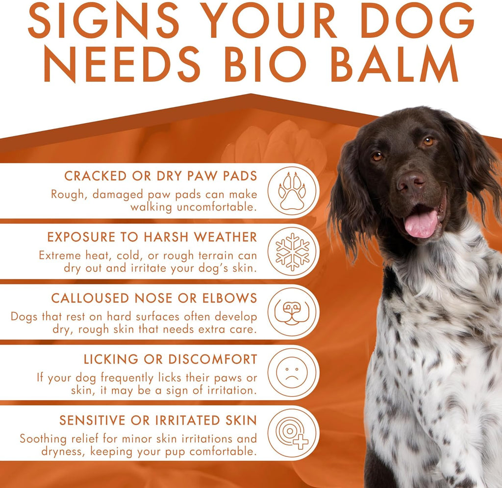 Veterinarian recommended dog paw balm for cracked pads