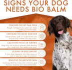 Veterinarian recommended dog paw balm for cracked pads