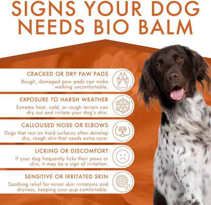 Veterinarian recommended dog paw balm for cracked pads