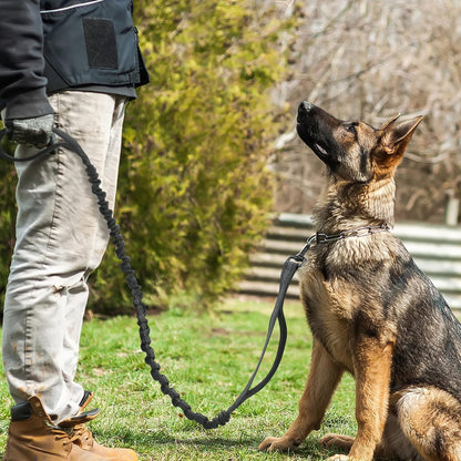 rabbitgoo Tactical Bungee Dog Leash with Shock Absorption, Military Training Leash with 2 Padded Control Handles for Medium Large Dogs, 5.2FT, Black - Image 9