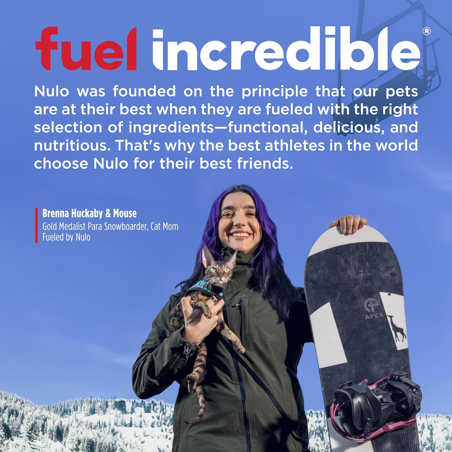 Nulo Freestyle Perfect Puree 0.5 Ounce individual sachet