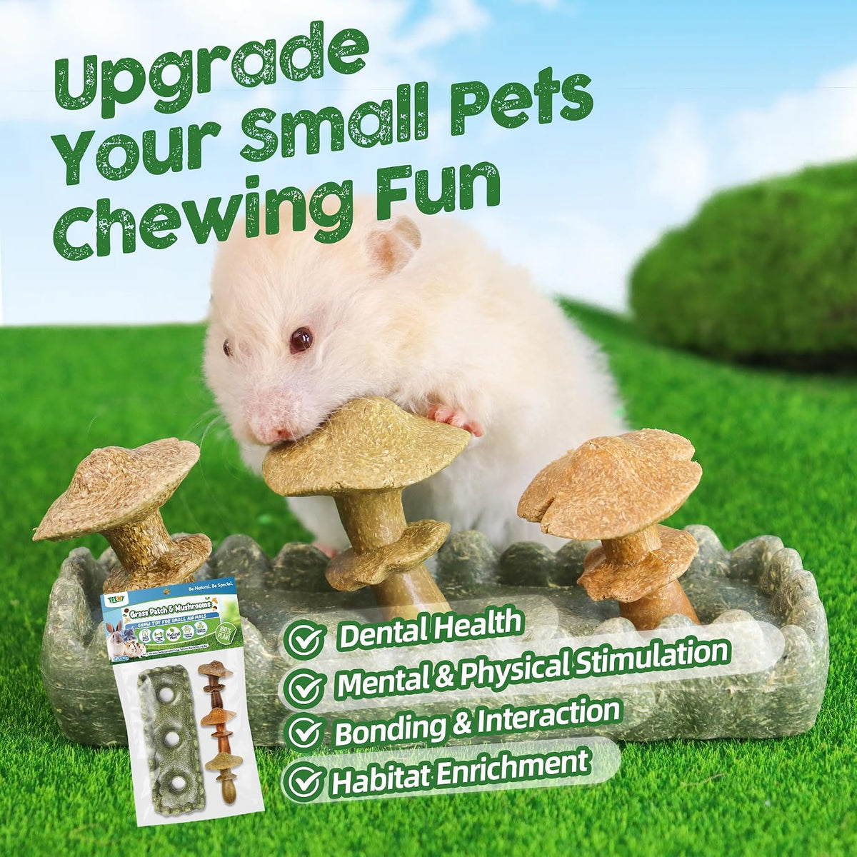 TEEWY small animal enrichment set showing natural textures for teeth grinding.