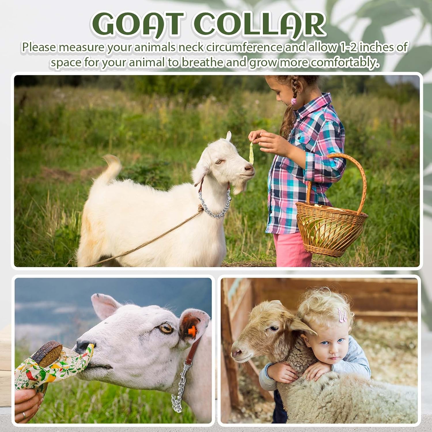 Misdary sheep show collar leather handle detail demonstrating the soft rolled design for comfortable grip