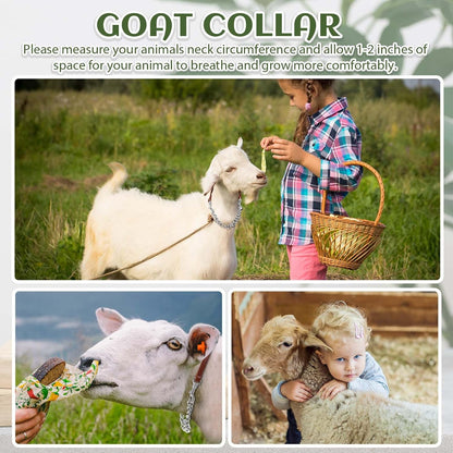 Misdary sheep show collar leather handle detail demonstrating the soft rolled design for comfortable grip