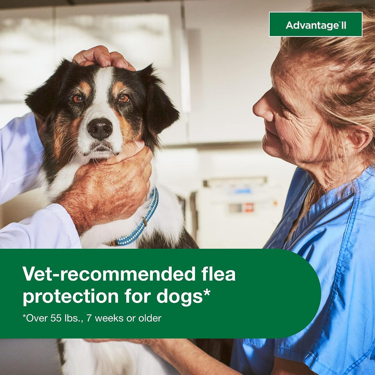 Monthly topical flea prevention protection medicine for extra large canine breeds.