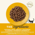 Applaws dry cat food kibble texture and shape
