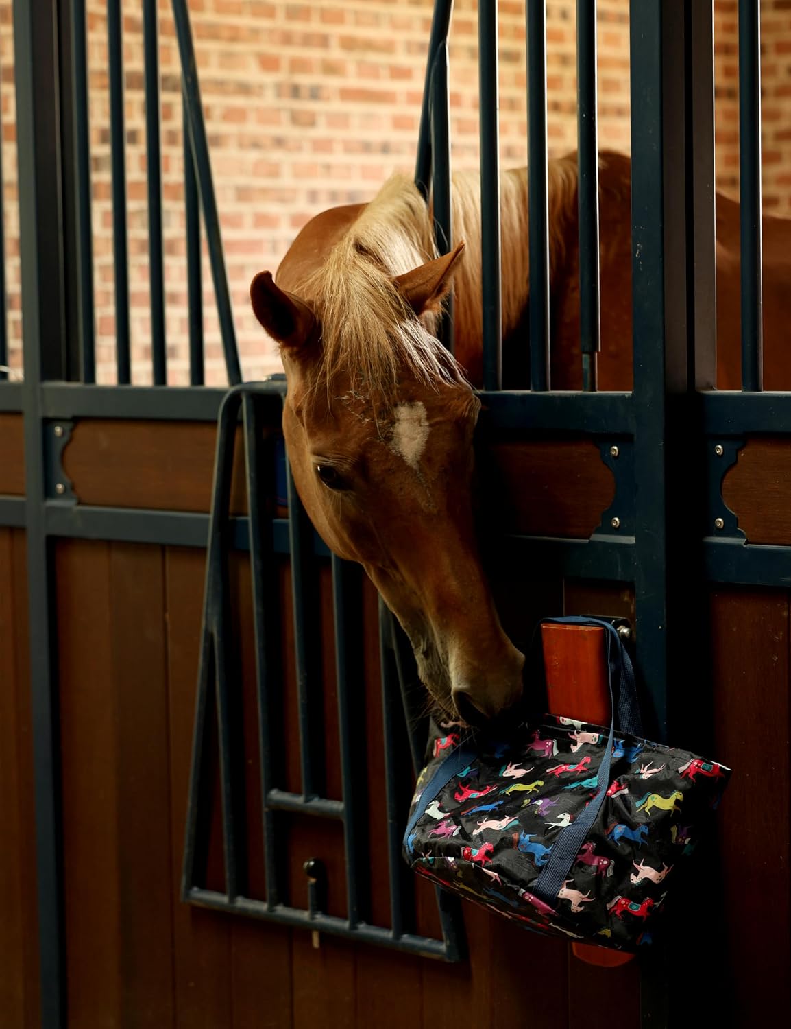 Horse owner using Harrison Howard grooming tools on a horse.