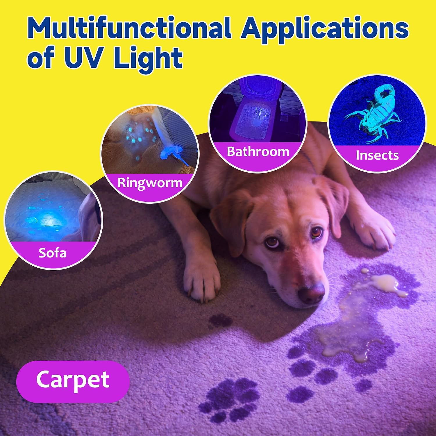 Instructional view demonstrating how to use the dual action pet stain removal kit safely