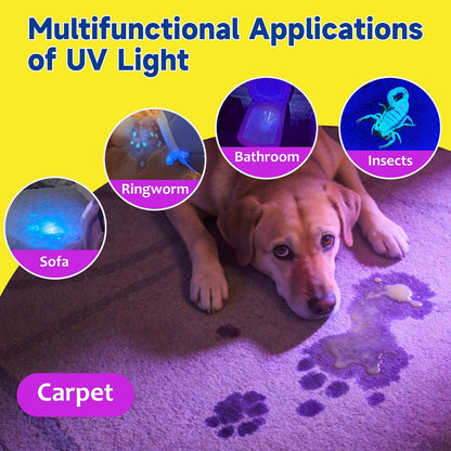 Instructional view demonstrating how to use the dual action pet stain removal kit safely