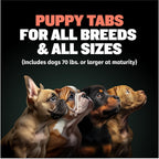 Puppy eating Bully Max high protein food from a bowl