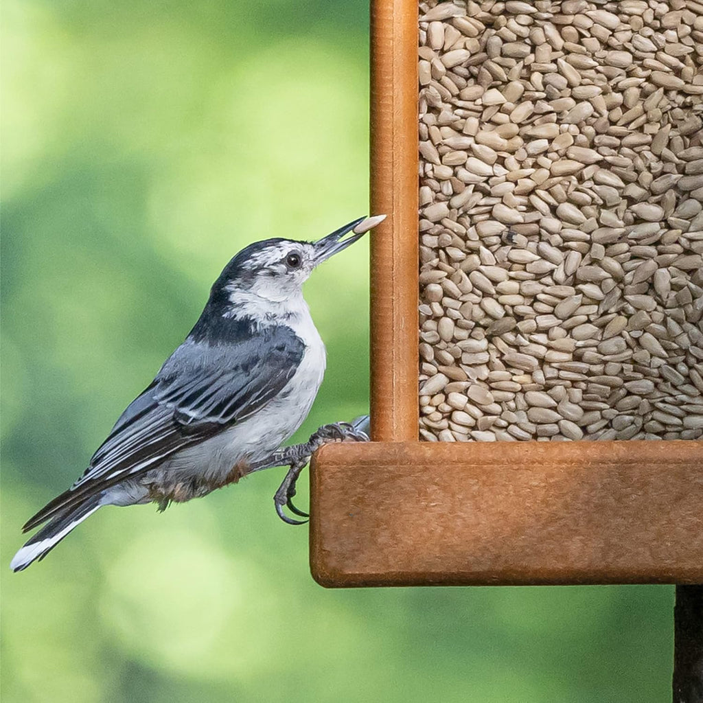 Side profile of the five and a half pound wild bird food bag