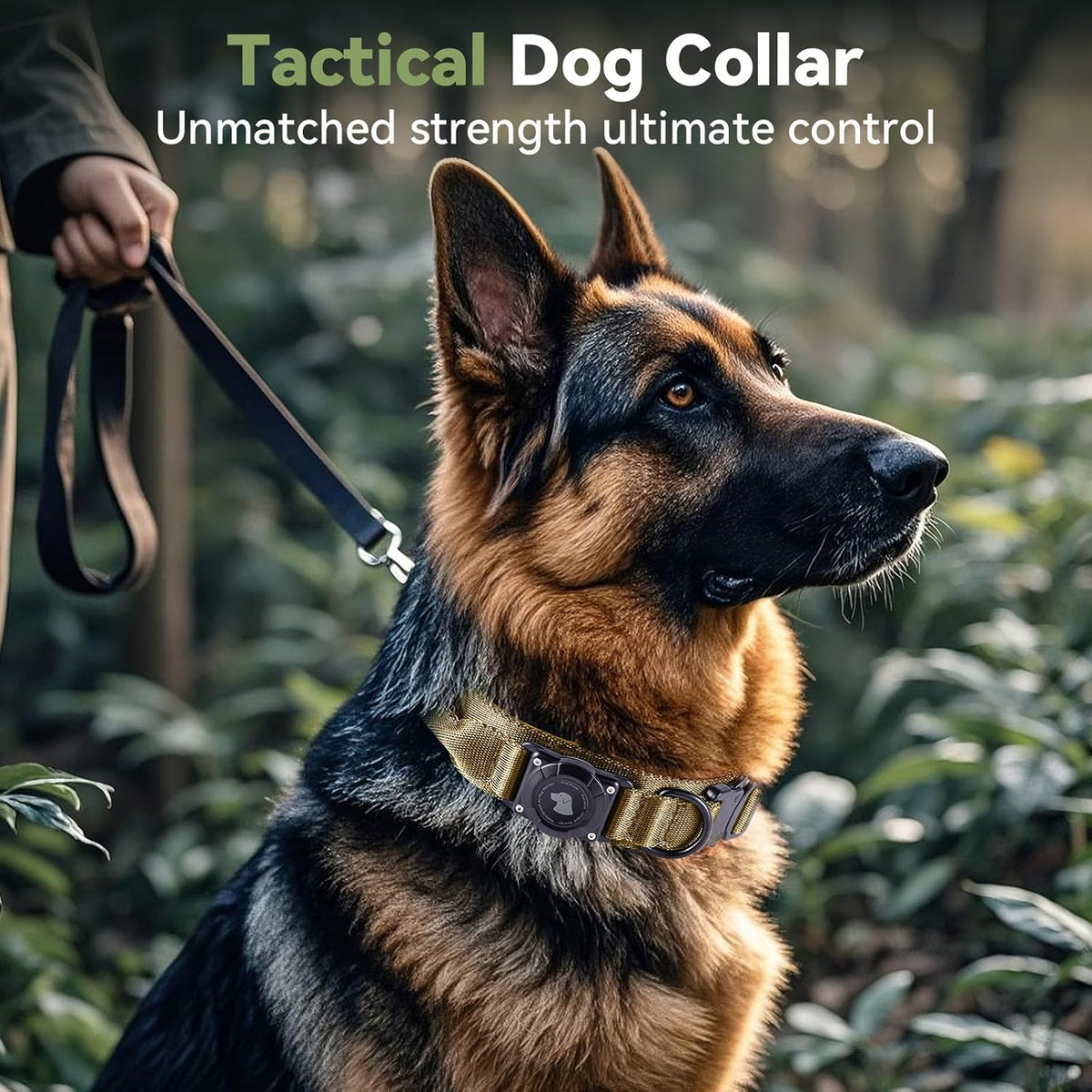 Close up of waterproof AirTag holder on tactical dog collar