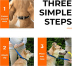 Canny Collar no pull dog training head collar black front view