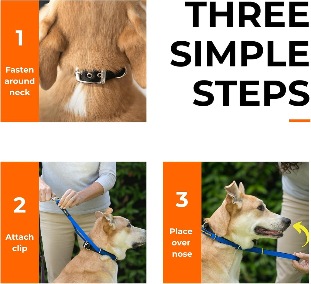 Canny No Pull Dog Training Headcollar side profile on a small breed dog.