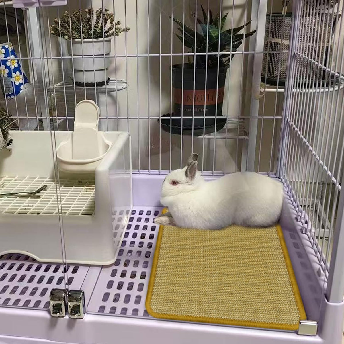 DYAUS rabbit scratch pad being cleaned easily with a damp cloth
