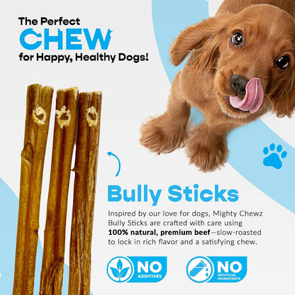 Close up of pre-drilled hole in Mighty Chewz bully stick