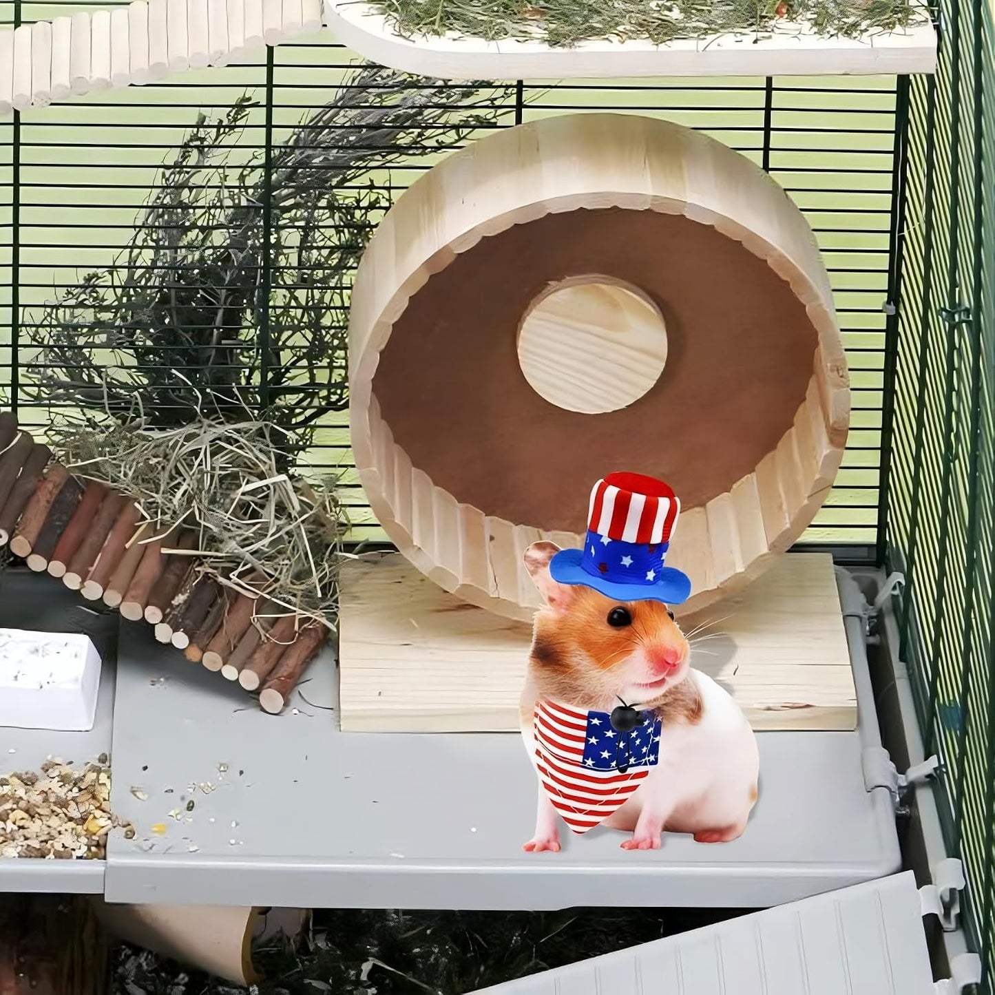 Imported ZIOU pet holiday accessories packaged and ready for festive photography sessions