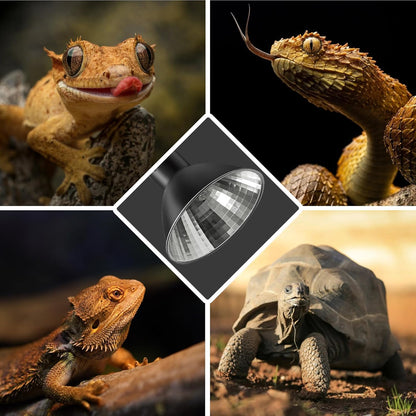 Briignite reptile habitat thermal lighting kit components spread out.