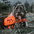 Dog wearing OneTigris backpack with bungee storage gear