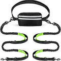 Blivorra hands-free dog leash for 2 dogs with waist belt