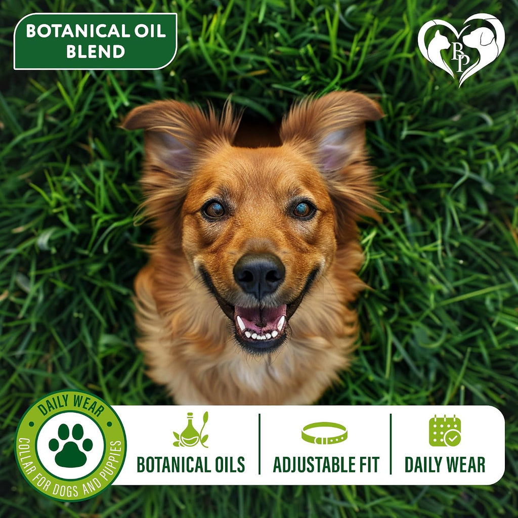 Adjustable design of Beloved Pets waterproof dog collar